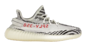 B0044CB2-2CF4-4E80-B1FF-03CF78019335-removebg-preview